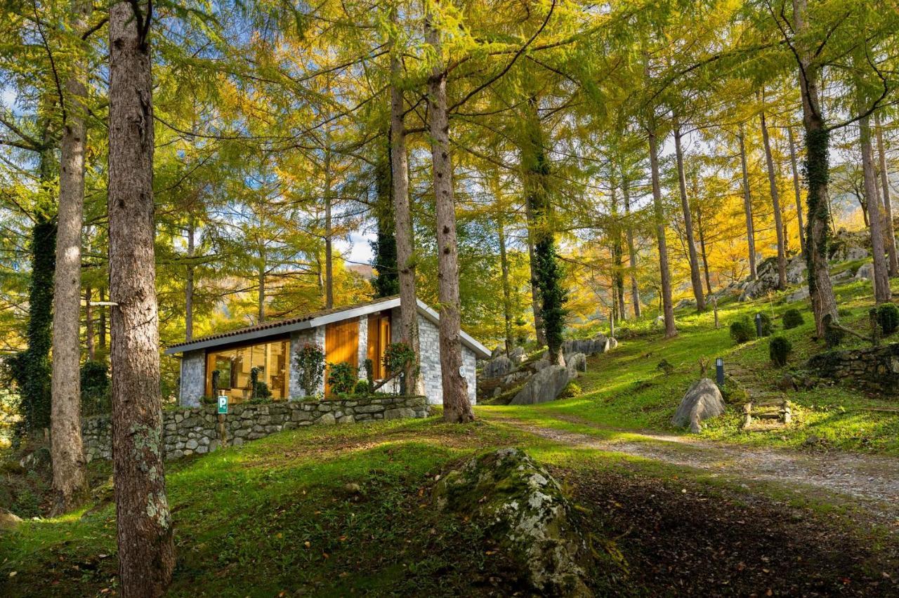 Cabañas Deluxe Basajaun Basoa by IrriSarri Land Igantzi Bagian luar foto