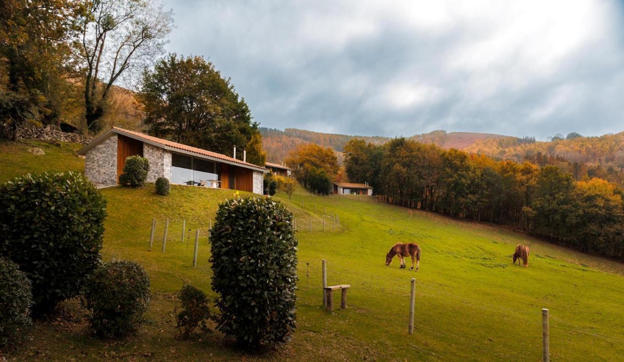 Cabañas Deluxe Basajaun Basoa by IrriSarri Land Igantzi Bagian luar foto
